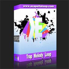 旋律素材/Trap Melody Loop